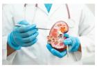 Nephrology Hospital in 
