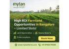 High-Growth Managed Farm Investments Bangalore Opportunities