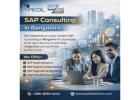 SAP Consulting in Bangalore