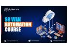Hands-On SD-WAN Automation Course by PyNet Labs