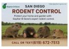 San Diego Gopher & Rodent Control – Safe, Effective, Local