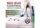 Bed Bug Control Service in Gurgaon | Safe, Reliable and Long-Lasting Pest Solutions