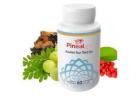 Boost Mind & Wellbeing Naturally with Pineal XT Supplements.
