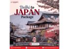 Delhi to Japan Package
