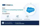 Best Salesforce Consulting Company in USA - CloudMetic