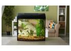 Your Trusted Aquarium Store in Australia for Quality Aquariums