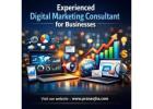 Experienced Digital Marketing Consultant for Businesses