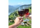 Wine Tours in Douro Valley