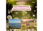 Shutter Stock Image Download