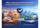 Why Companies Should Partner with a Professional BGV Service