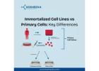 Immortalized Cell Lines vs Primary Cells: Key Differences