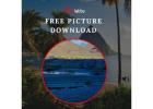 Free Picture Download 