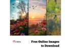 Free Online Images to Download