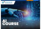 Vanguard Intelligence Training: Expert AI Leadership Pathway