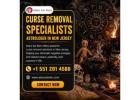 Curse Removal Specialists Astrologer in New Jersey