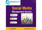 Social Media Marketing (SMM) Services by Kiwasoft Technologies 