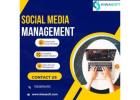 Social Media Marketing (SMM) Services by Kiwasoft Technologies 
