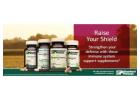 Standard Process Nutritional Supplements for Whole Food-Based Wellness