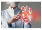 Urology Specialists in Gujarat
