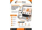 Ecommerce Website Design & Development Services