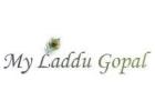Laddu Gopal Makeovers in Delhi by My laddu gopal