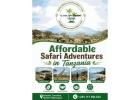 Affordable Safari Adventures in Tanzania – Budget-Friendly Wildlife Tours