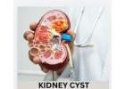 Expert Nephrology Treatment for Better Kidney Health