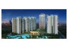 M3M Gurgaon International City: An Ideal Location for Your Dream House