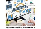 Database Management Assignment Help: Expert Support for Better Grades