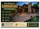 Best Resort in Bandhavgarh for Tiger Safari 