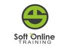 Fusion HCM Online Training| Soft Online Training