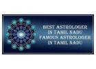 Best Astrologer in Thiruvarur 
