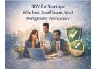 BGV for Startups
