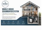 The Ultimate Solution for Moisture Control and Clean Air