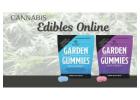 Top-Rated Best Cannabis Edibles for Quality and Flavor