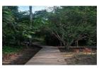 Best Tambopata Reserve 4 Days Package | Book Now