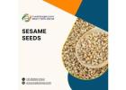 Sesame Seeds Trade: Connect with Global Exporters & Buy Premium Sesame Seeds in Bulk
