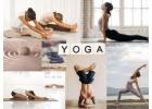 Advanced Yoga Course in Netherlands | Deepen Your Practice with Indian Classical Yoga