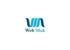 Affordable Ecommerce Website Design in Hisar | Expert Developers