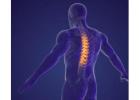 Advanced Spinal Cord Injury Physiotherapy Treatment in Gurgaon for Faster Recovery