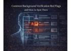 Common Background Verification Red Flags and How to Spot Them