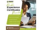 Experience Certificates Provider in Lucknow