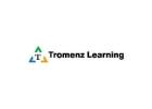 PMI ACP Course Online