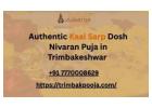 Authentic Kaal Sarp Dosh Nivaran Puja in Trimbakeshwar