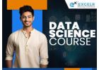 Advanced Training for Data Visualization and Insights