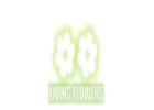 Same Day Flower Delivery Flemington - Living Flowers 