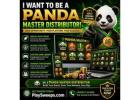 Become a Panda Master Distributor – Start Your Gaming Business Today