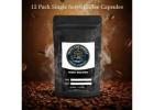 Buy Premium Blended Coffee Beans in USA | Fresh Premium Coffee Beans – Spring Season Special