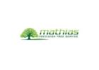 Mathias Precision Tree Service