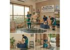 Pet Grooming Service at Home in Nagpur